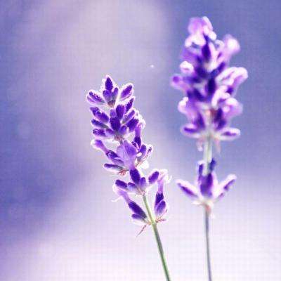 购彩中心welcome入口