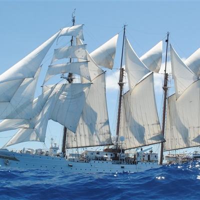 九游会ag下载手机版